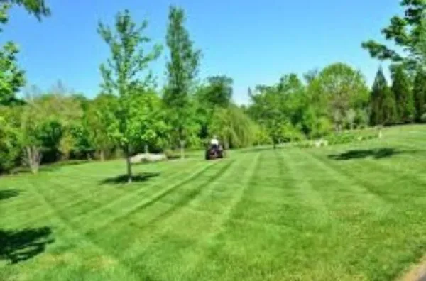 All Seasons Lawn Care Logo