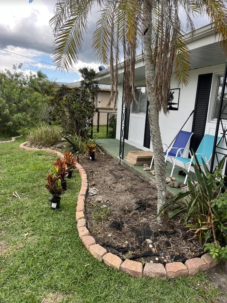 Expert lawn care service for residential properties across Port Charlotte, FL - All Seasons Lawn Care