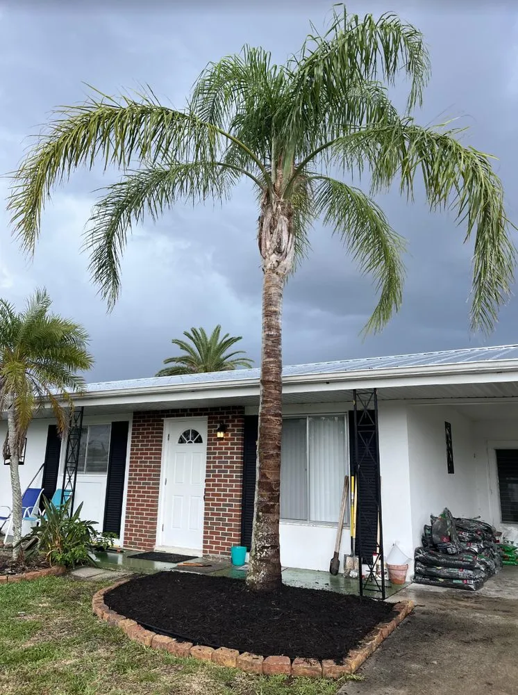 Reliable lawn mowing service in Port Charlotte, FL by All Seasons Lawn Care