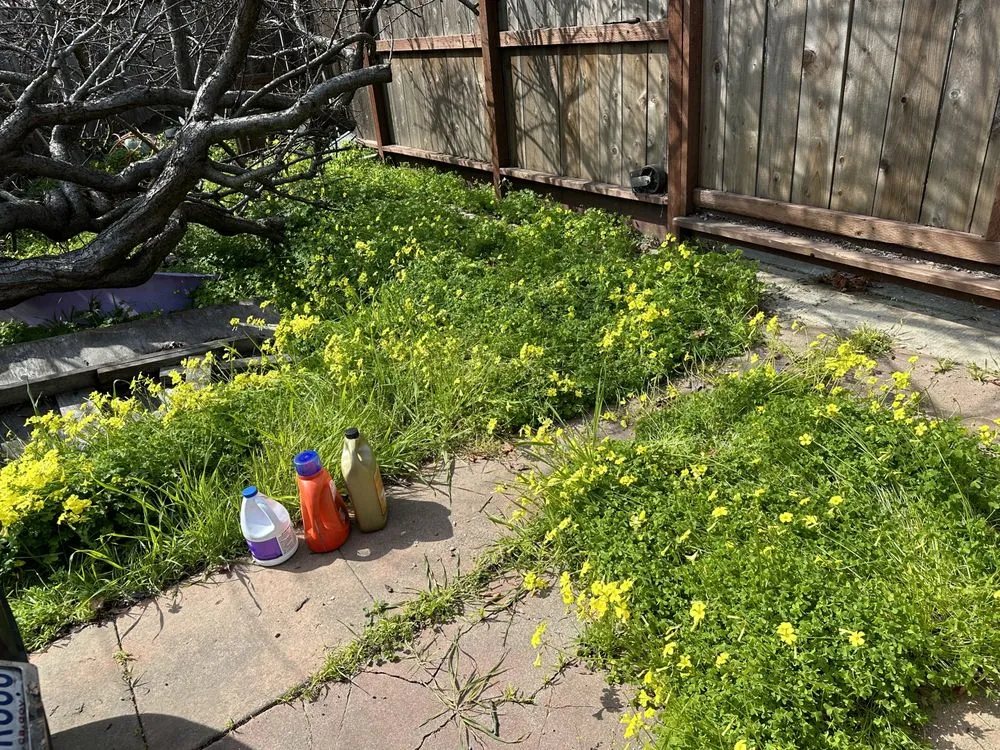 Top-rated residential landscaping for beautiful yards in Oakland, CA by All Seasons Lawn Care Services