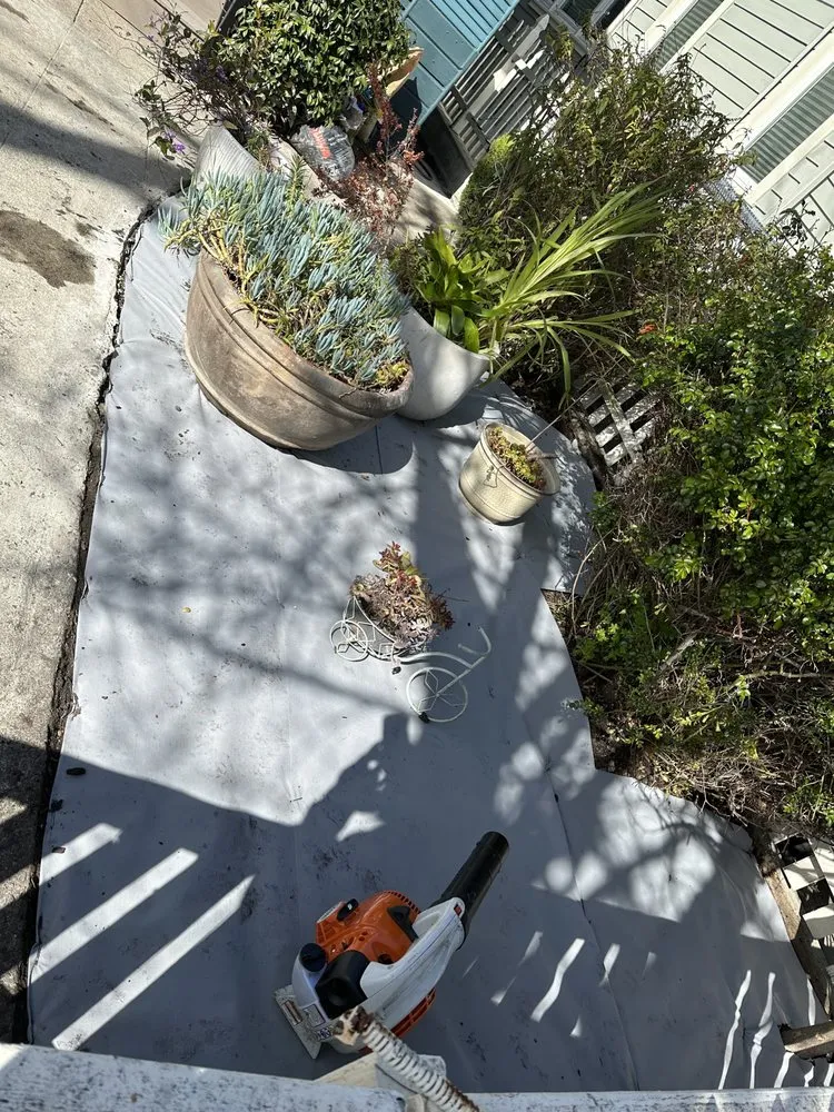 Expert residential landscaping in Oakland, CA - All Seasons Lawn Care Services