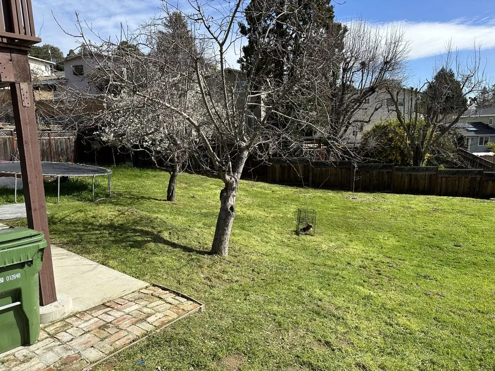 Expert garden landscaping near you in Oakland, CA by All Seasons Lawn Care Services