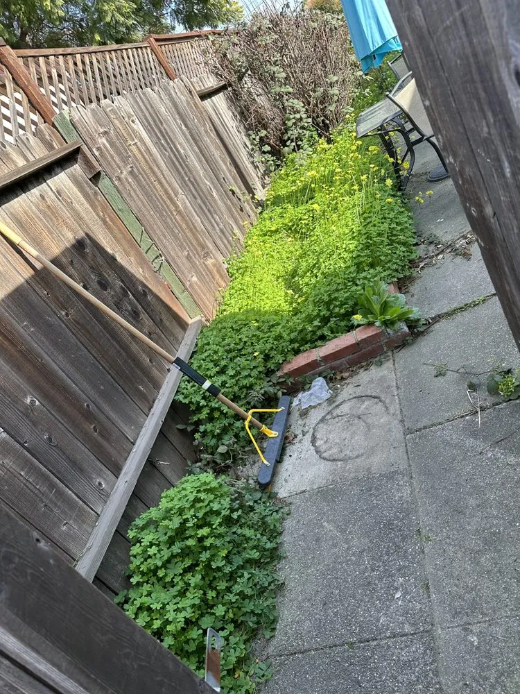 Reliable lawn mowing service in Oakland, CA by All Seasons Lawn Care Services