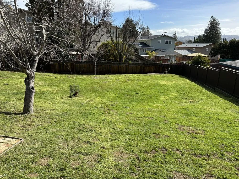 Trusted lawn care service in Oakland, CA by All Seasons Lawn Care Services