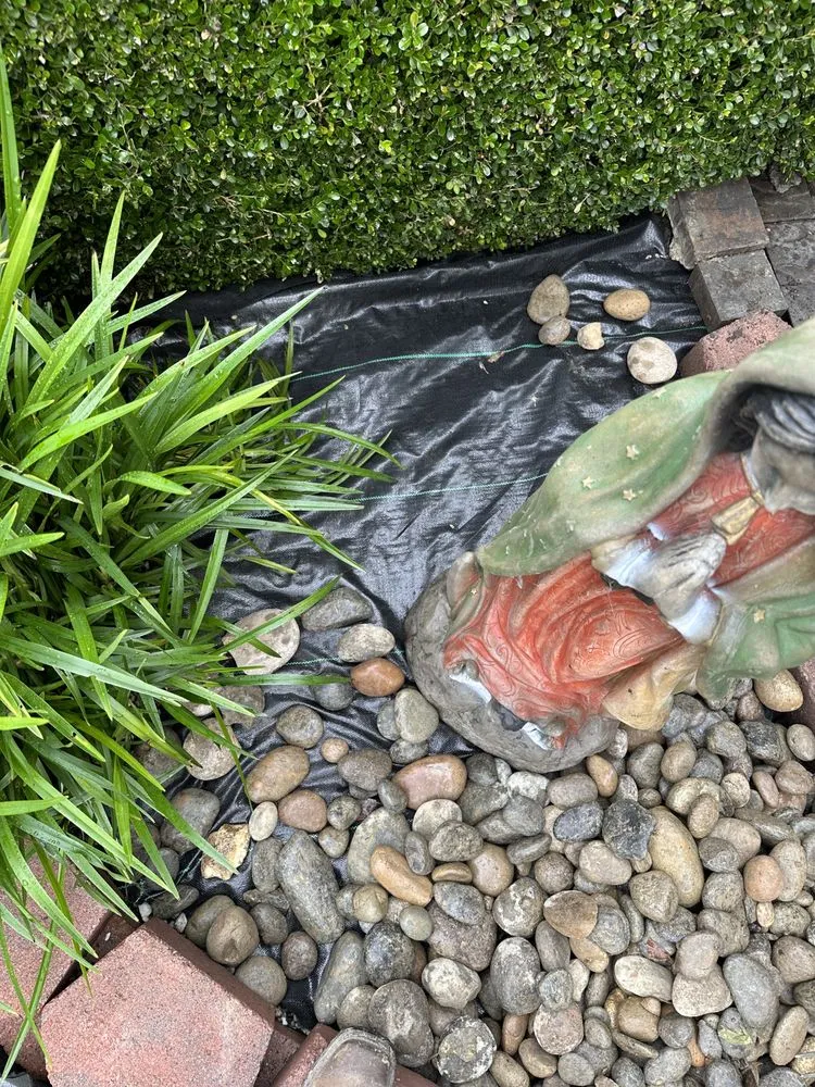 Trusted lawn mowing service in Oakland, CA - All Seasons Lawn Care Services