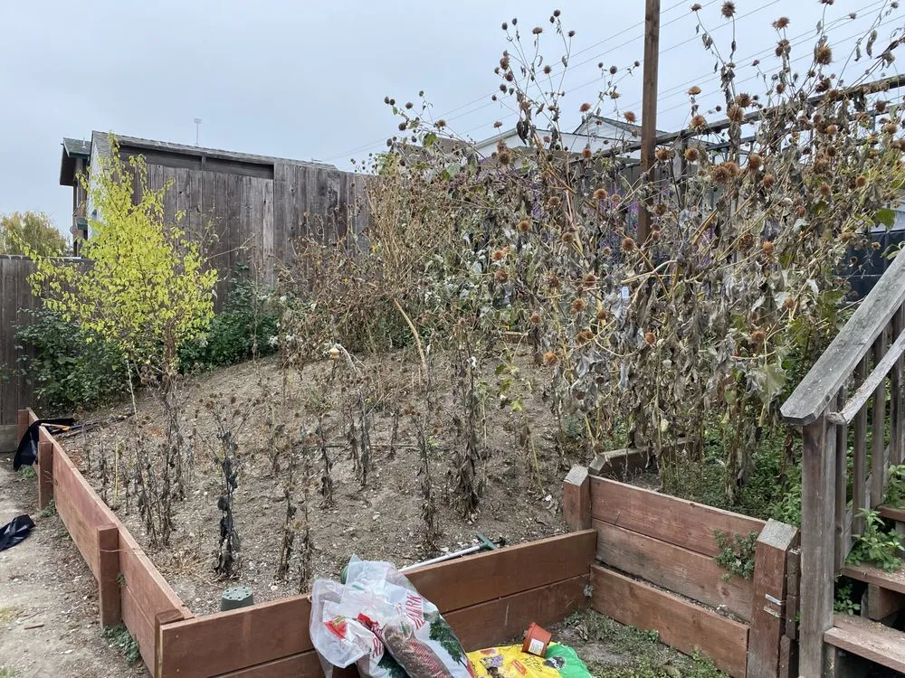 Professional outdoor landscaping for residential properties in Oakland, CA by All Seasons Lawn Care Services