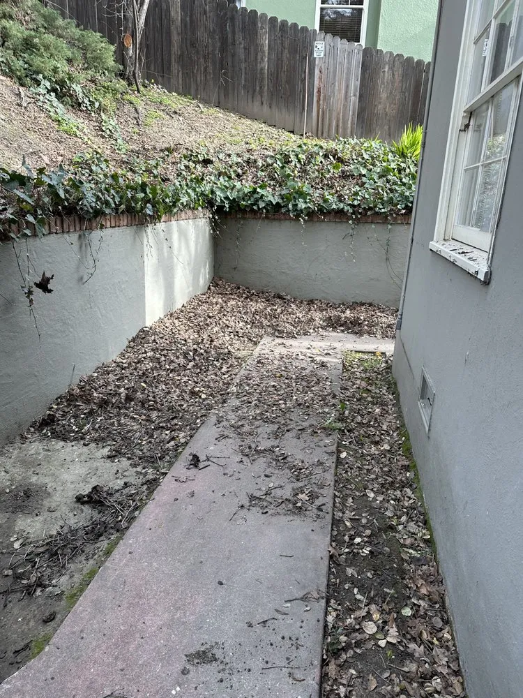 Reliable lawn mowing service in Oakland, CA by All Seasons Lawn Care Services