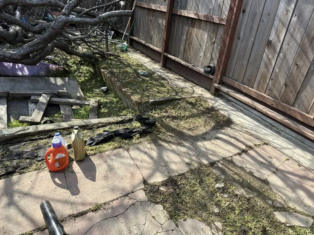 Expert lawn mowing service experts serving Oakland, CA - All Seasons Lawn Care Services