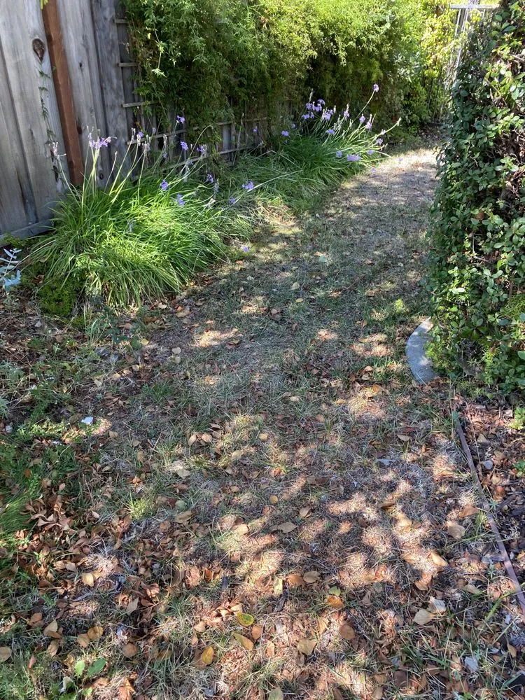 Custom yard maintenance experts serving Oakland, CA - All Seasons Lawn Care Services