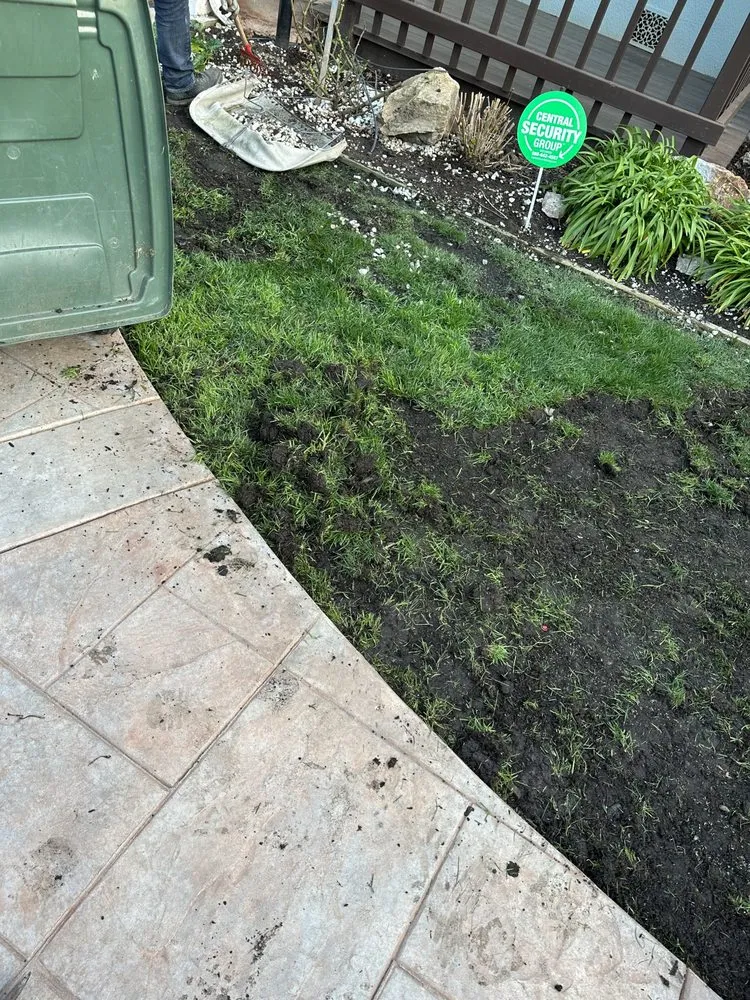 Reliable landscape design for year-round maintenance in Oakland, CA by All Seasons Lawn Care Services