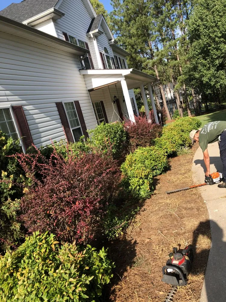 Professional landscape installation in Rock Hill, SC - All seasons lawn care &services