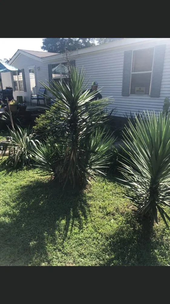 Expert landscape design in Rock Hill, SC - All seasons lawn care &services