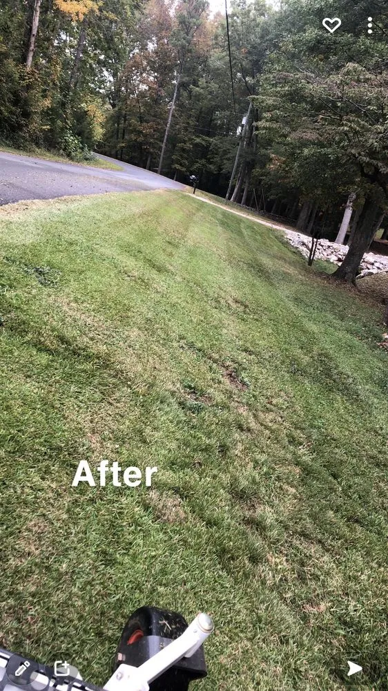 Local lawn care service experts serving Rock Hill, SC - All seasons lawn care &services