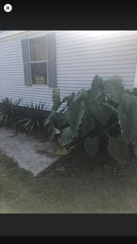 Expert outdoor landscaping in Rock Hill, SC by All seasons lawn care &services