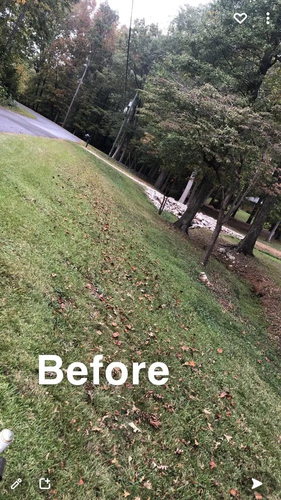 Affordable yard maintenance in Rock Hill, SC - All seasons lawn care &services