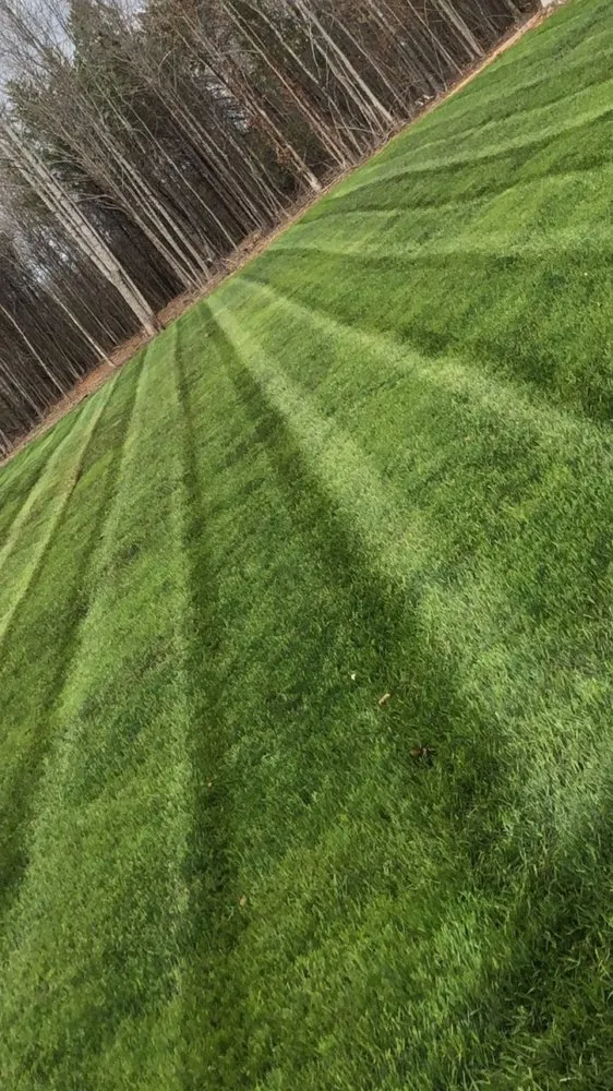 Expert landscape design with custom design in Rock Hill, SC by All seasons lawn care &services