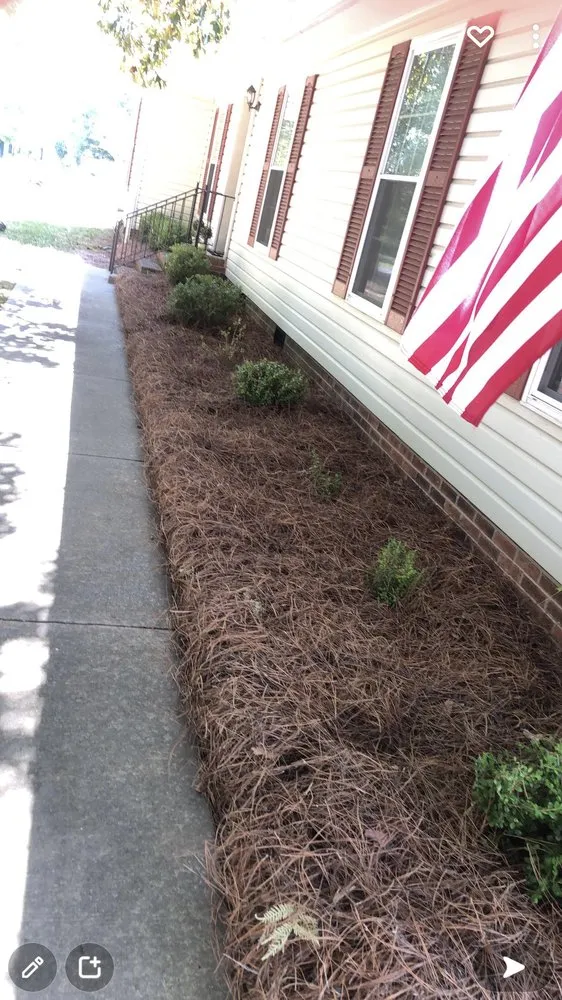 Expert landscape installation experts serving Rock Hill, SC - All seasons lawn care &services