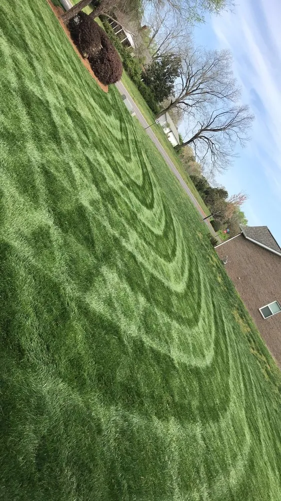 Local lawn care service experts serving Rock Hill, SC - All seasons lawn care &services