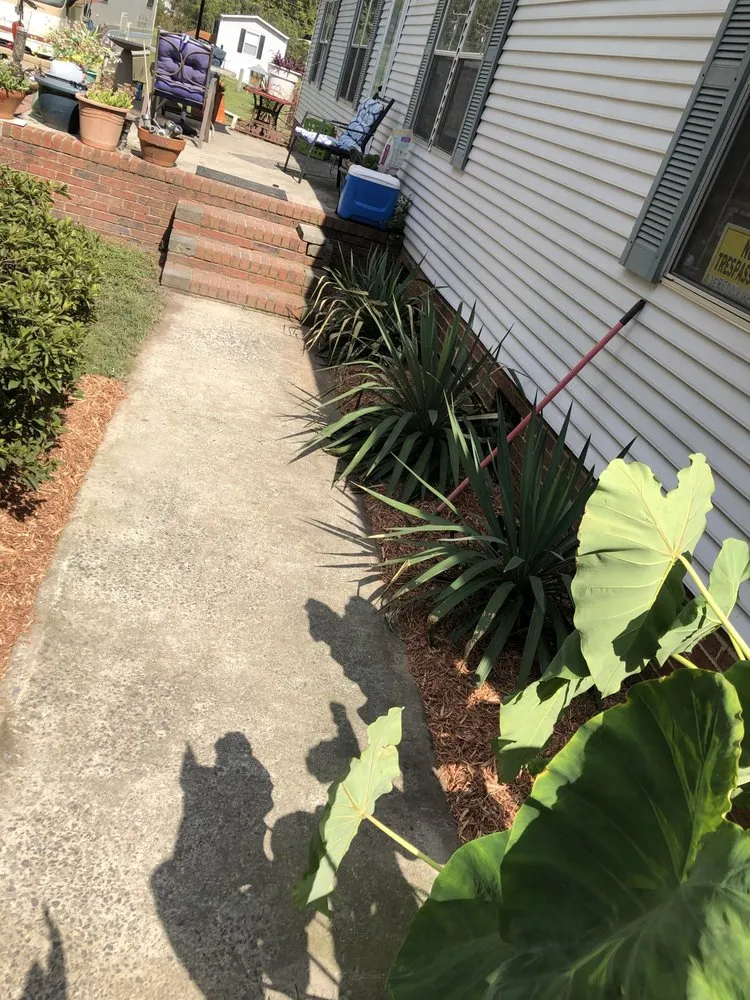 Affordable residential landscaping in Rock Hill, SC - All seasons lawn care &services