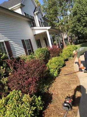 All seasons lawn care &services Logo