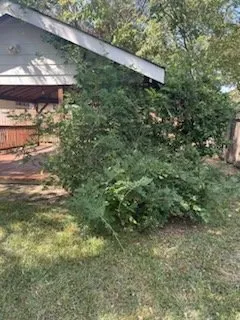 Reliable yard cleanup service in Houston, TX by All Seasons Lawn Maintenance