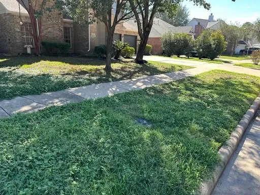 Reliable yard maintenance experts serving Houston, TX - All Seasons Lawn Maintenance