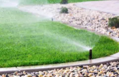 Affordable yard cleanup service in Houston, TX by All Seasons Lawn Maintenance