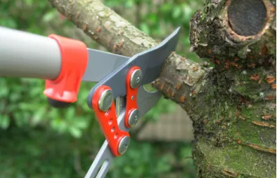 Reliable lawn care service experts serving Houston, TX - All Seasons Lawn Maintenance