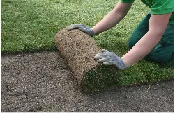 Top-rated garden landscaping with custom design across Houston, TX - All Seasons Lawn Maintenance