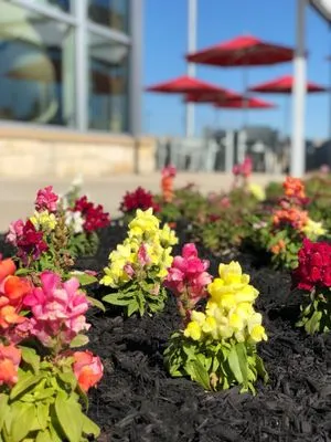 All Seasons Lawn Maintenance Logo