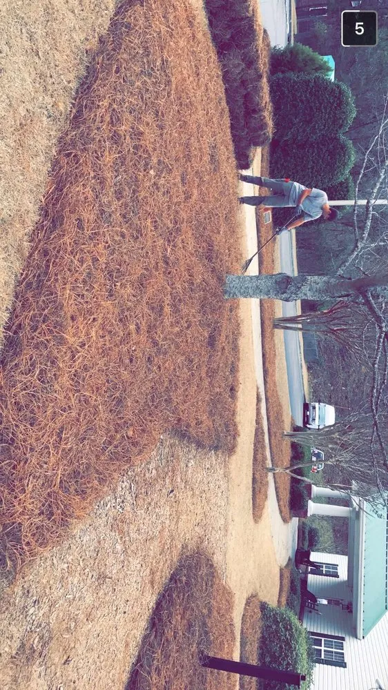 Local lawn care service experts serving Stafford, VA - All Seasons Lawncare