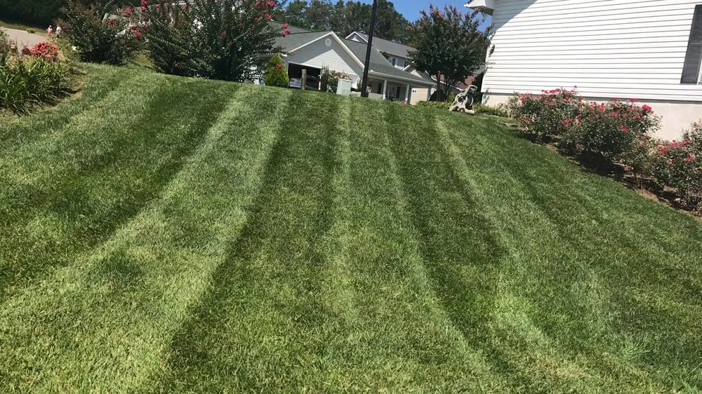 Affordable residential landscaping for outdoor upgrades across Stafford, VA - All Seasons Lawncare