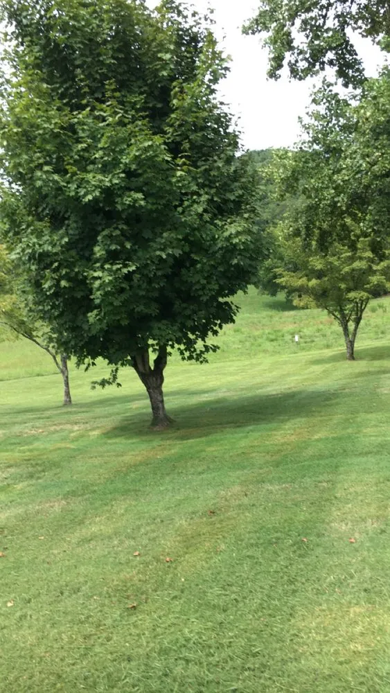 Top-rated outdoor landscaping for residential properties in Stafford, VA by All Seasons Lawncare