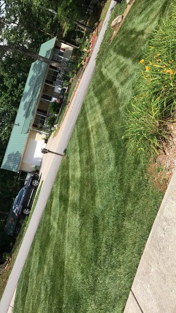 Expert lawn care service in Stafford, VA by All Seasons Lawncare