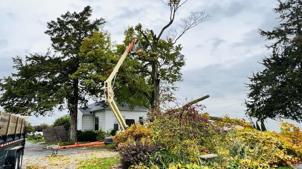 Custom lawn care service for year-round maintenance in Milan, IL by All Seasons Lawnscape