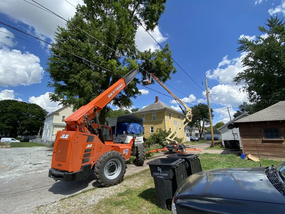 Local yard cleanup service experts serving Milan, IL - All Seasons Lawnscape