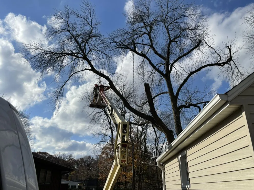 Affordable landscape design in Milan, IL by All Seasons Lawnscape