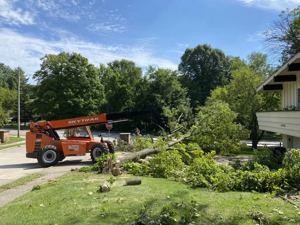 Professional landscaping services in Milan, IL - All Seasons Lawnscape