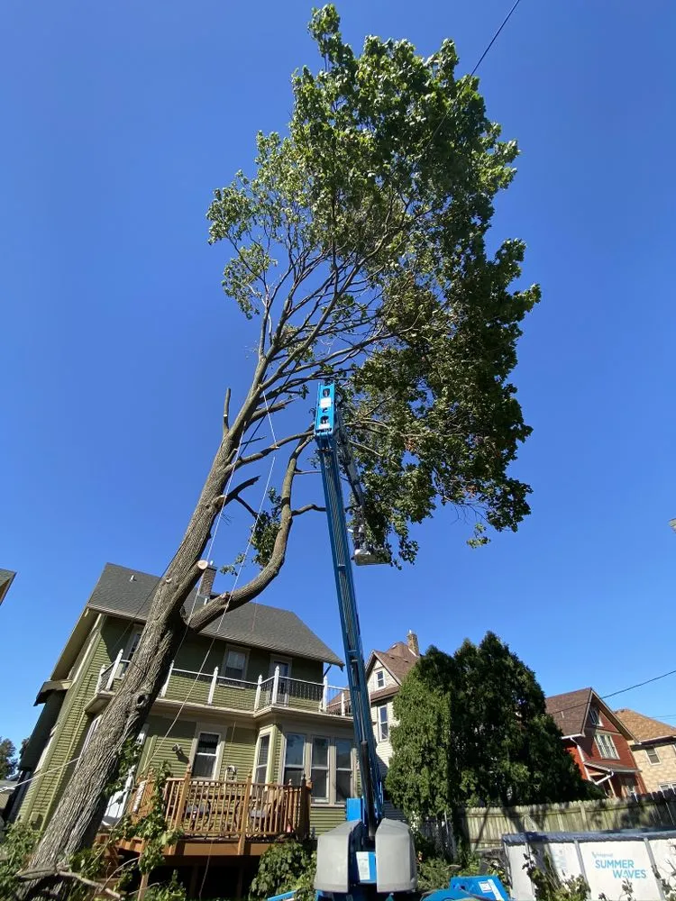 Expert garden landscaping experts serving Milan, IL - All Seasons Lawnscape