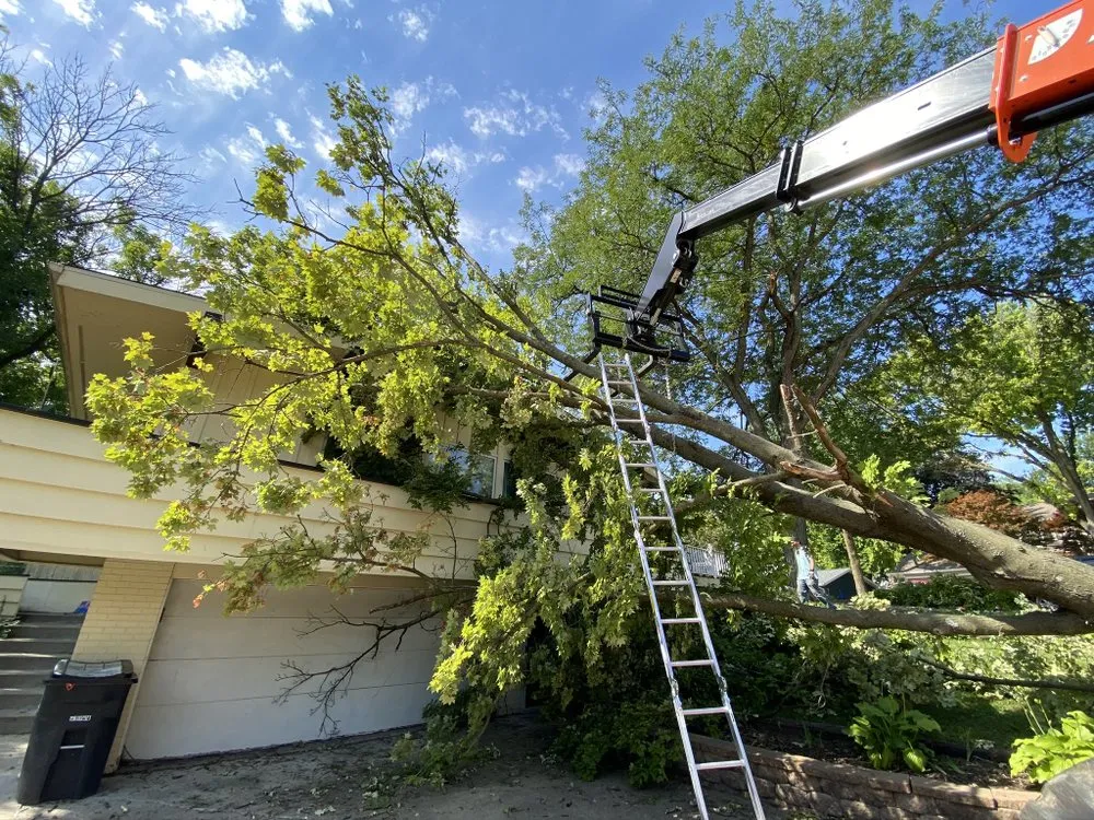 Affordable outdoor landscaping with custom design across Milan, IL - All Seasons Lawnscape