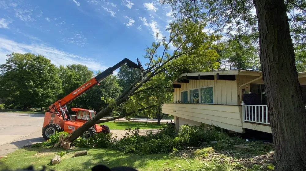 Local residential landscaping experts serving Milan, IL - All Seasons Lawnscape