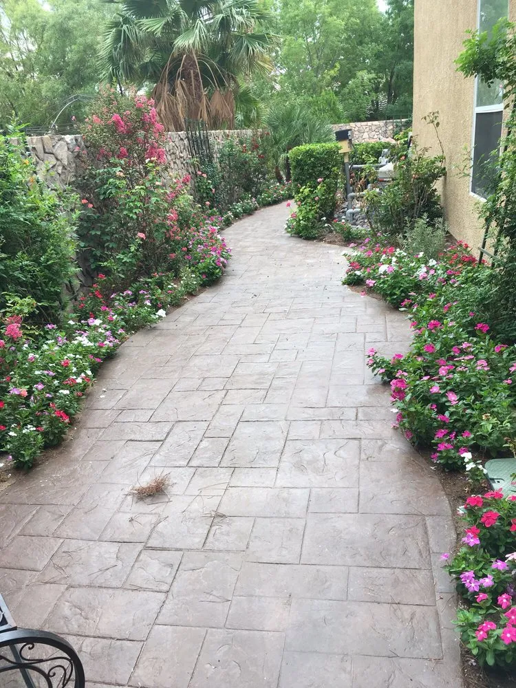 Affordable yard cleanup service in Las Vegas, NV - All Seasons Maintenance and Landscaping