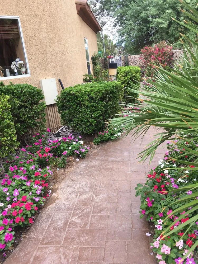 Top-rated garden landscaping experts serving Las Vegas, NV - All Seasons Maintenance and Landscaping
