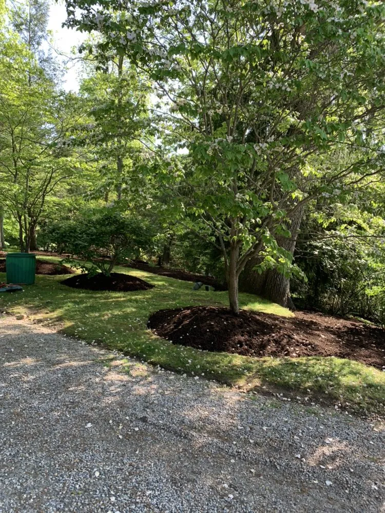 Reliable lawn care service for year-round maintenance in Brookfield, CT by All Seasons Maintenance