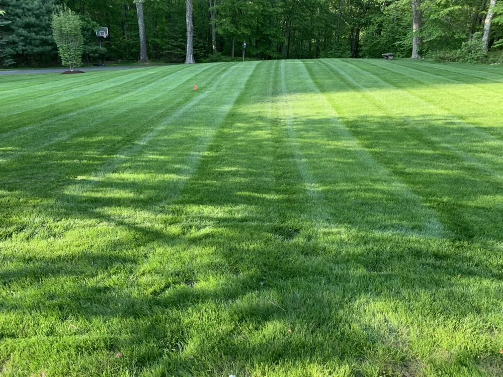 Expert landscaping services in Brookfield, CT by All Seasons Maintenance