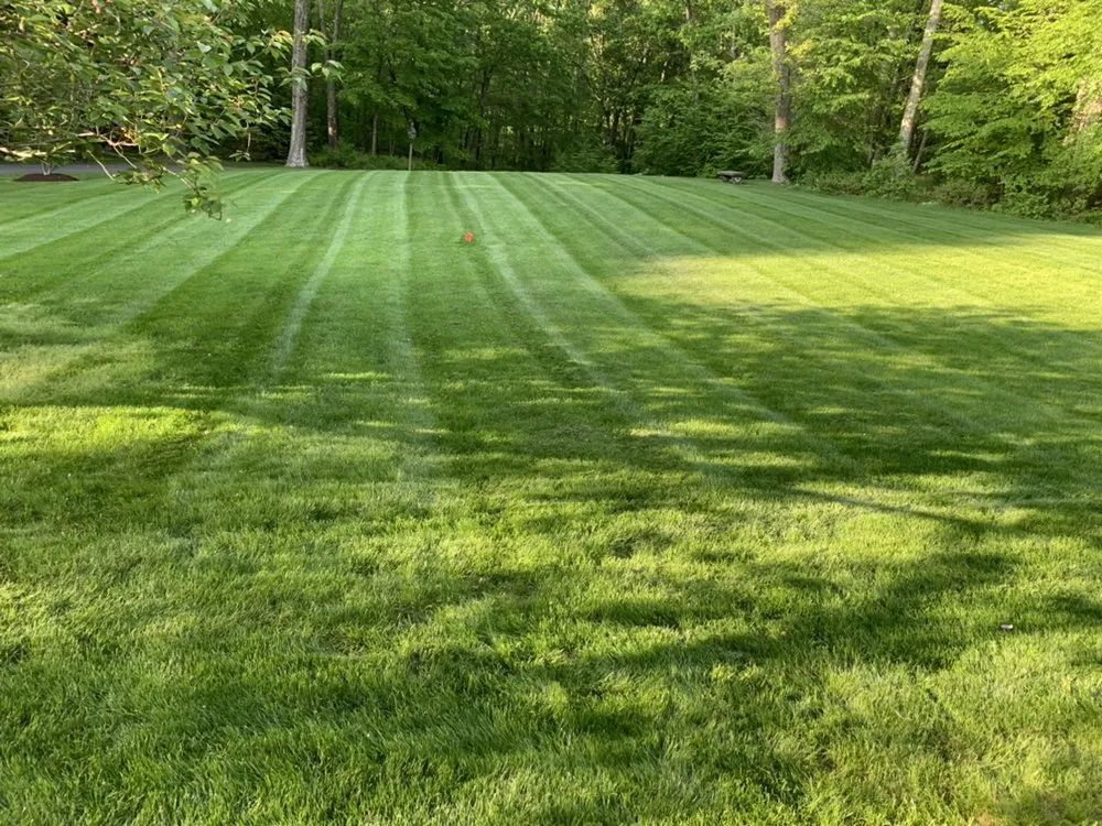 Expert lawn care service in Brookfield, CT - All Seasons Maintenance