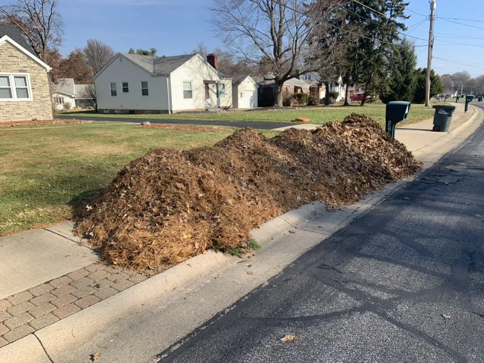 Custom yard cleanup service for beautiful yards across Parma, OH - All Seasons Mow and Snow