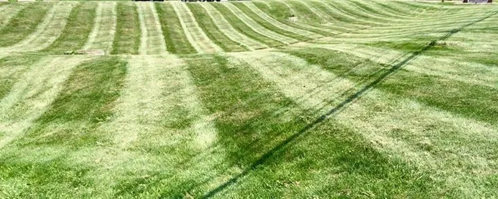 Affordable residential landscaping for residential properties across Parma, OH - All Seasons Mow and Snow