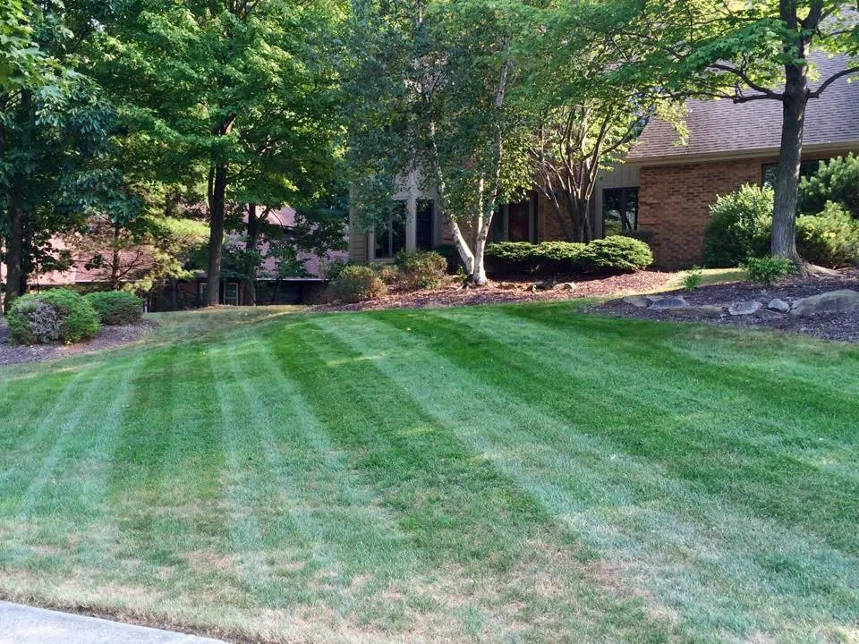 Trusted lawn mowing service in Parma, OH - All Seasons Mow and Snow