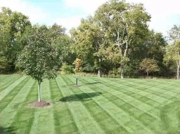 Custom garden landscaping in Austin, MN - All Seasons Outdoor Maintenance